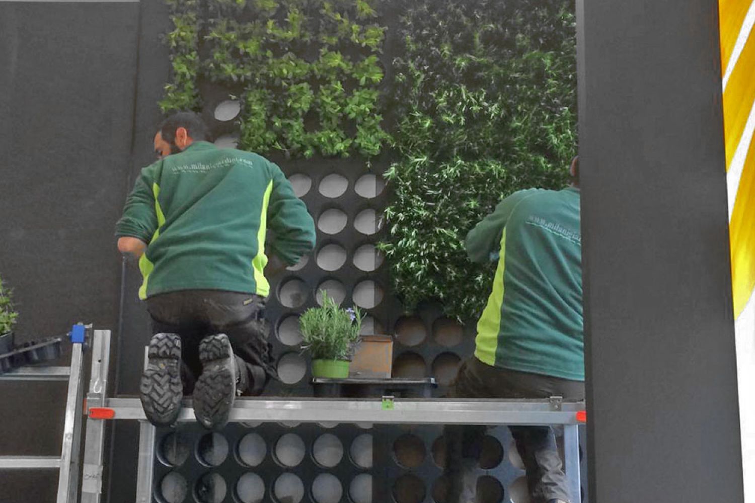 Realizzazione parete piantumata per stand fieristico con utilizzo di nostri pannelli sagomati